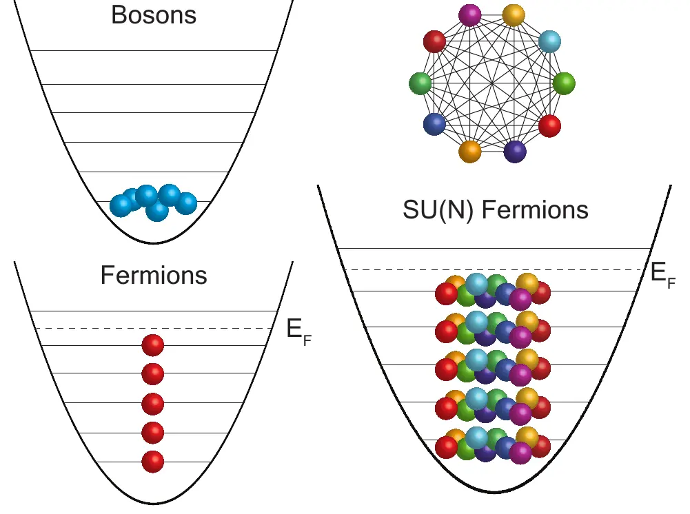 Illustration of SU(N) Fermi gases